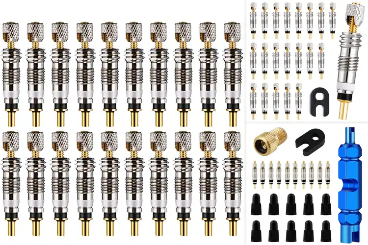 Detailed view of Best Brass Presta Valve Cores