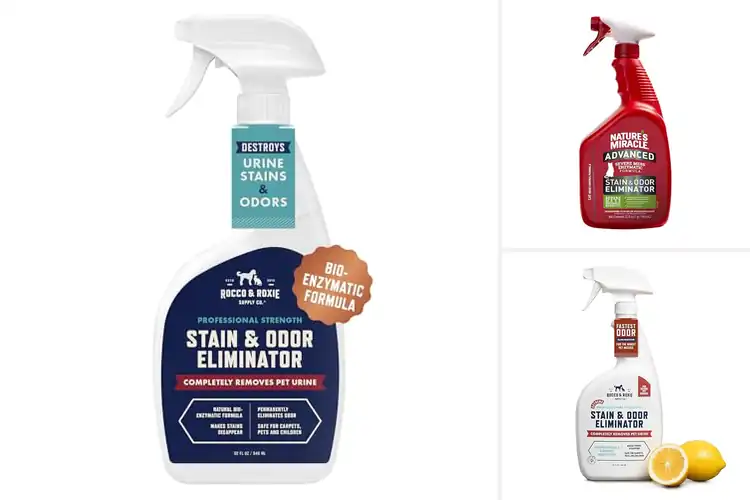 Detailed view of Best Cat Stain Eliminators: Top 10 Picks for a Fresh Home