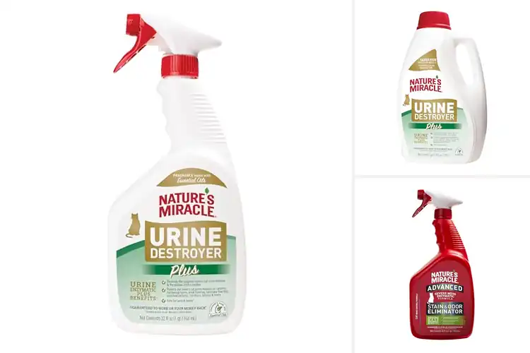 Detailed view of Best Cat Urine Cleaners: Fresh Home Solutions