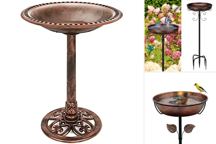 Detailed view of Best Decorative Bird Baths: Boost Garden Beauty & Bird Fun