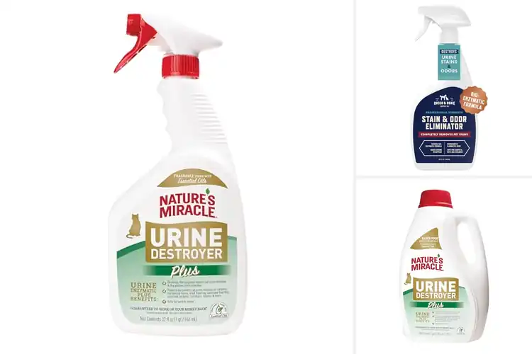 Detailed view of Best Enzymatic Cleaners For Cat Urine