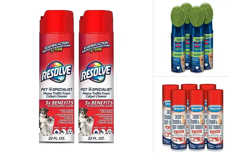 Detailed view of Best Foaming Pet Carpet Cleaners for Spotless Floors