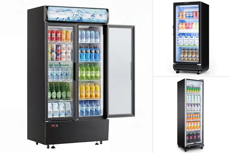Detailed view of Best Glass Door Commercial Refrigerators