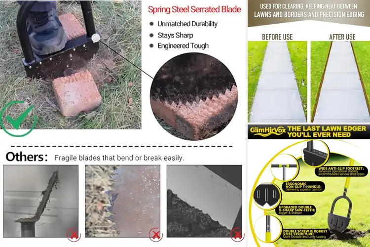 Detailed view of Best Half Moon Garden Edgers