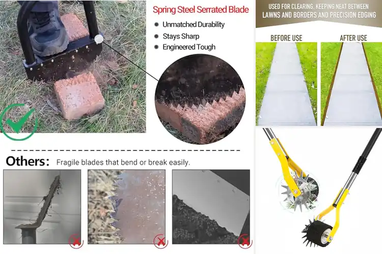 Detailed view of Best Landscape Edging Tools