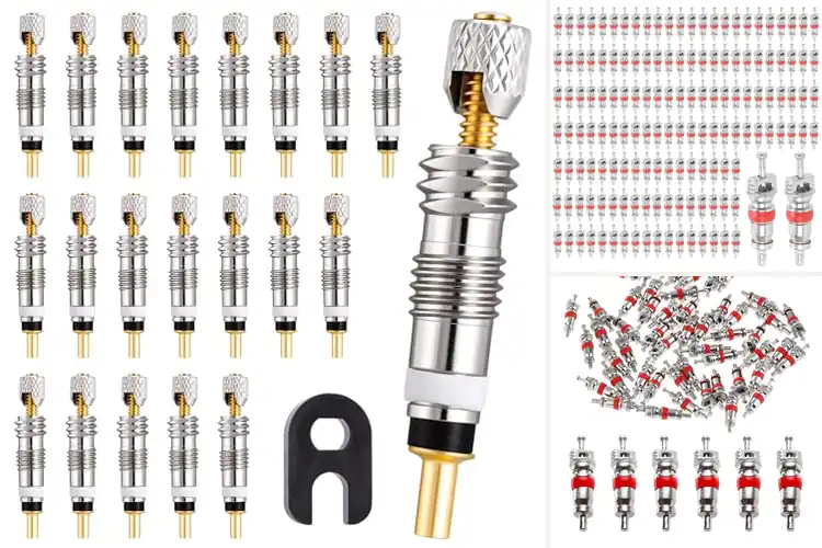 Detailed view of Best Leak Proof Valve Cores