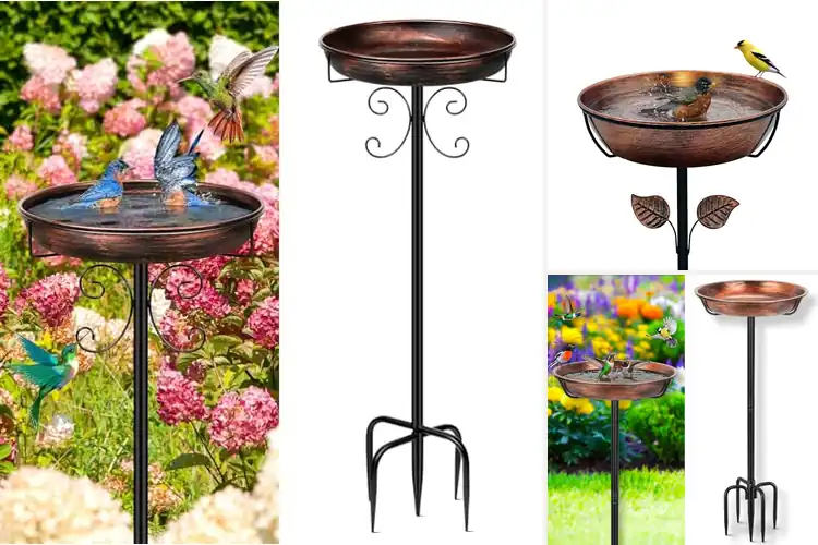 Detailed view of Best Metal Bird Baths: Top 10 Picks for a Charming Garden