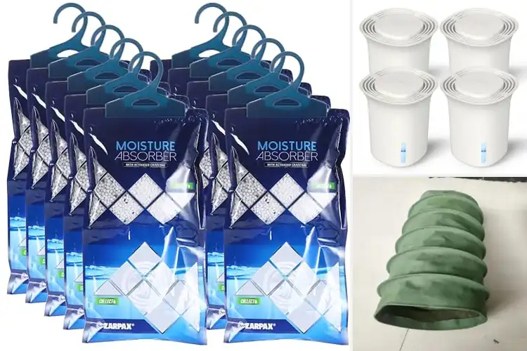 Detailed view of Best Moisture Removal Solutions: Keep Your Home Dry & Fresh