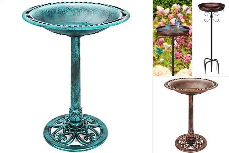 Detailed view of Best Outdoor Birdbaths: Bring Nature’s Charm To Your Garden
