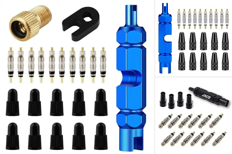 Detailed view of Best Presta Valve Core Kits