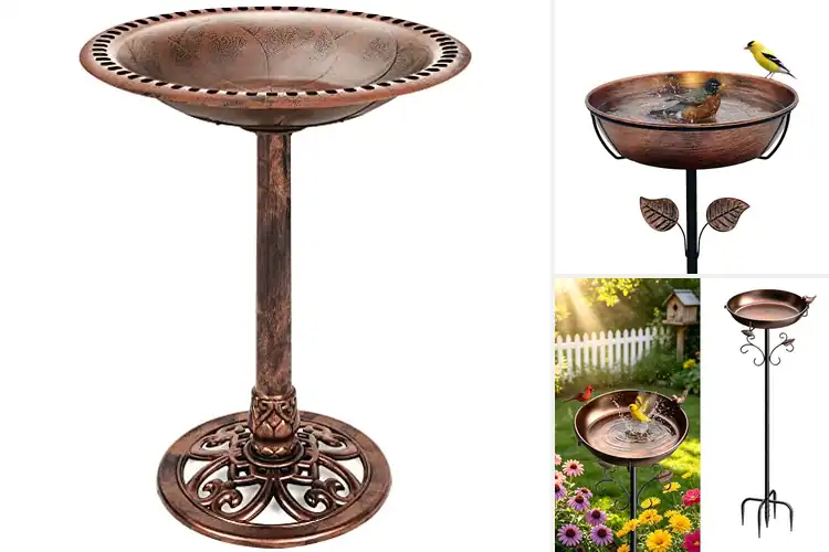 Detailed view of Best Rust Resistant Bird Baths
